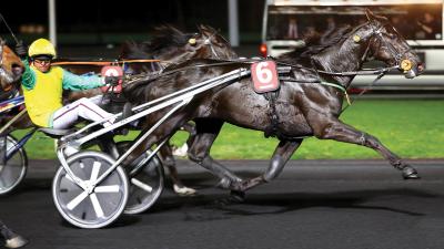 Photo 2 victoires et 1 placé pour les produits de FOLLOW YOU cette semaine !