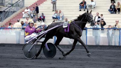 Photo 1 victoire et 2 placés pour les produits de NI HO PED D'OMBREE