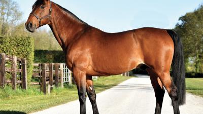 Photo Un placé pour les produits de QUAKER JET