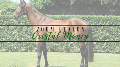 Photo Zoom Etalon : CRISTAL MONEY