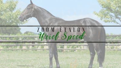 Photo Zoom Etalon : URIEL SPEED