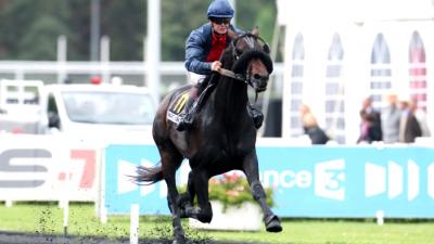 Photo TEXAS CHARM : 4 vainqueurs et 3 placés