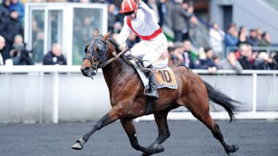 Photo SINGALO : 3 vainqueurs et 2 placés