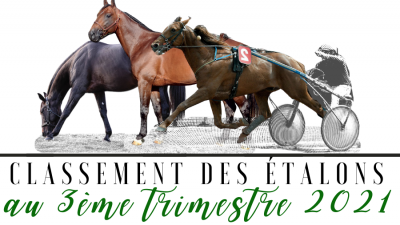 Photo Classements des étalons au 3ème trimestre 2021