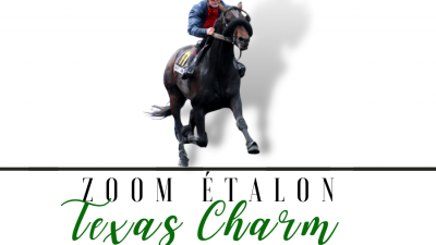 Photo Zoom Etalon : TEXAS CHARM