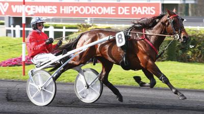 Photo DIABLO DU NOYER vainqueur à Agen