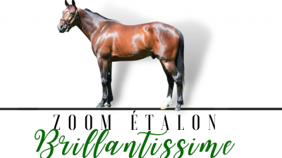 Photo Zoom Etalon : BRILLANTISSIME