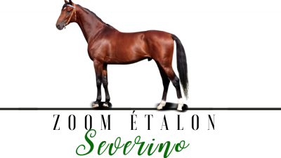 Photo Zoom Etalon : SEVERINO