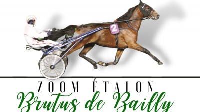 Photo Zoom Etalon : BRUTUS DE BAILLY