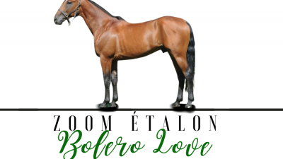 Photo Zoom Etalon : BOLERO LOVE