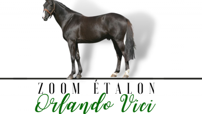 Photo Zoom Etalon : ORLANDO VICI