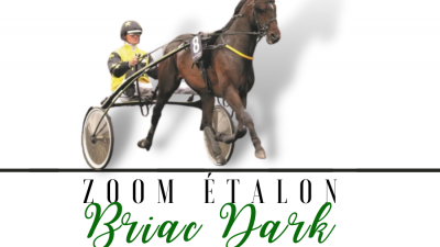 Photo Zoom Etalon : BRIAC DARK