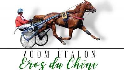 Photo Zoom Etalon : EROS DU CHENE