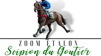 Photo Zoom Etalon : SCIPION DU GOUTIER