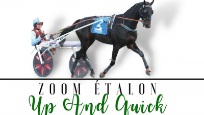 Photo Zoom Etalon : UP AND QUICK