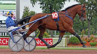 Photo RODRIGO JET : 4 vainqueurs et 5 placés