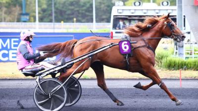 Photo En route vers le Critérium des 5 ans pour HOOKER BERRY