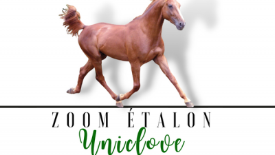 Photo Zoom Etalon : UNICLOVE