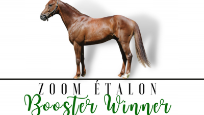 Photo Zoom Etalon : BOOSTER WINNER