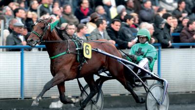 Photo ROLLING D'HERIPRE : 1 vainqueur et 4 placés