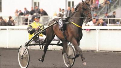 Photo BRIAC DARK : 1 vainqueur et 2 placés