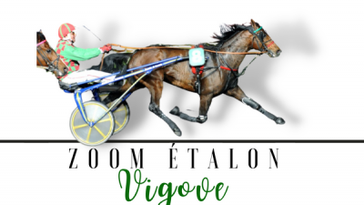 Photo Zoom Etalon : VIGOVE