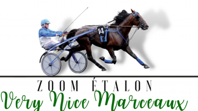 Photo Zoom Etalon : VERY NICE MARCEAUX