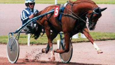 Photo ROC MESLOIS : 1 vainqueur et 6 placés