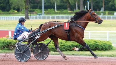 Photo FAKIR DE MAHEY gagnant à Vincennes !