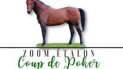 Photo Zoom Etalon : COUP DE POKER