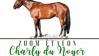 Photo Zoom Etalon : CHARLY DU NOYER