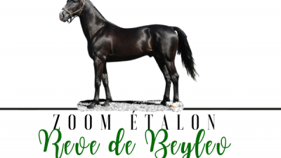 Photo Zoom Etalon : REVE DE BEYLEV