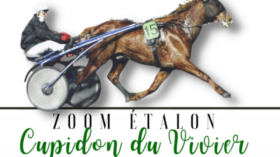 Photo Zoom Etalon : CUPIDON DU VIVIER