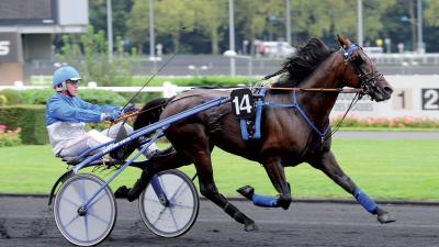 Photo VERY NICE MARCEAUX : 8 vainqueurs sur les 2 derniers week-end