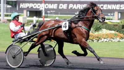 Photo TORNADO BELLO : 4 vainqueurs ce week-end !