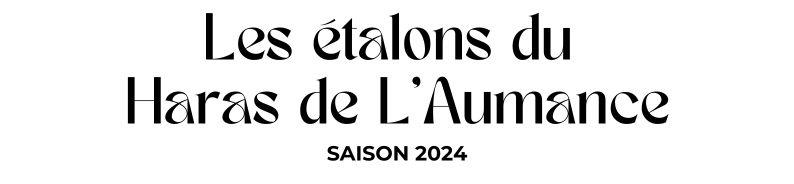 Photo Les étalons du Haras de l'Aumance - Saison 2024