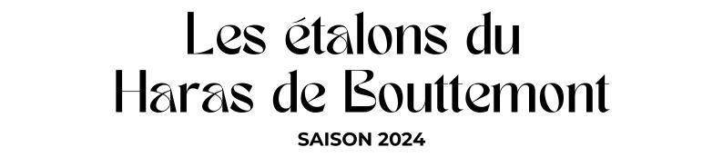 Photo Les étalons du Haras de Bouttemont - Saison 2024