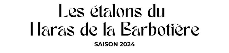 Photo Les étalons du Haras de la Barbotière - Saison 2024