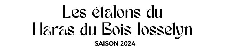 Photo Les étalons du Haras du Bois Josselyn - Saison 2024