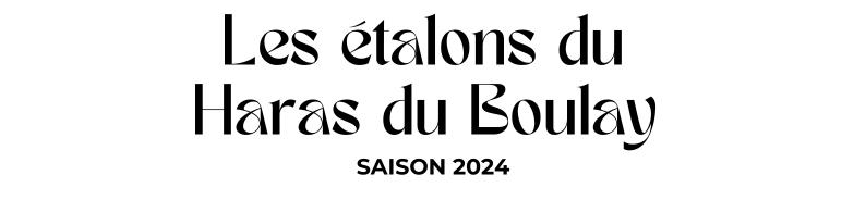 Photo Les étalons du Haras du Boulay - Saison 2024