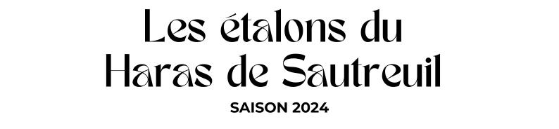 Photo Les étalons du Haras de Sautreuil - Saison 2024