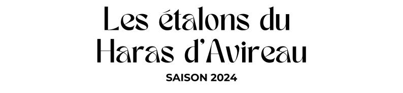 Photo Les étalons du Haras d'Avireau - Saison 2024