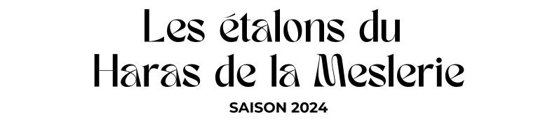 Photo Les étalons du Haras de Meslerie - Saison 2024