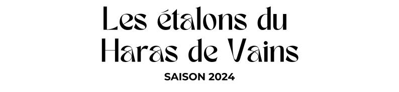 Photo Les étalons du Haras de Vains - Saison 2024