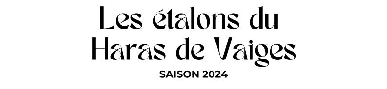 Photo Les étalons du Haras de Vaiges - Saison 2024