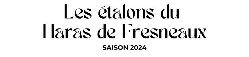 Photo Les étalons du Haras de Fresneaux - Saison 2024