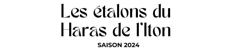 Photo Les étalons du Haras de l'Iton - Saison 2024