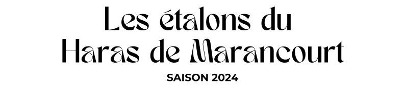 Photo Les étalons du Haras de Marancourt- Saison 2024