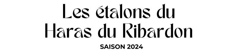 Photo Les étalons du Haras du Ribardon - Saison 2024