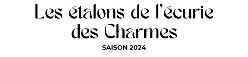 Photo Les étalons de l'écurie des Charmes - Saison 2024